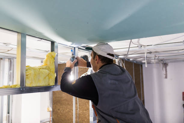 Types of Insulation We Offer in Mantua, VA