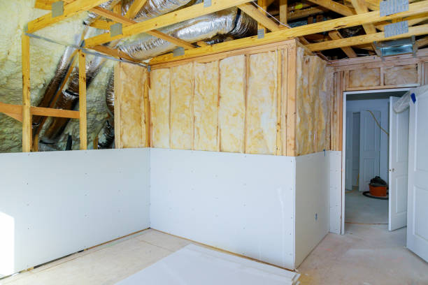 Best Spray Foam Insulation in Mantua, VA