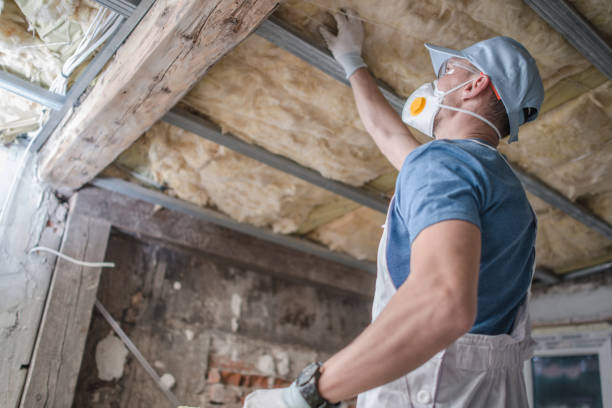 Best Blown-in Insulation in Mantua, VA
