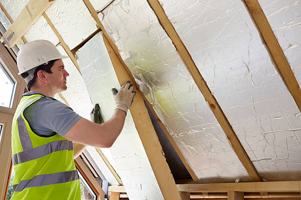 Best Specialized Insulation Services in Mantua, VA