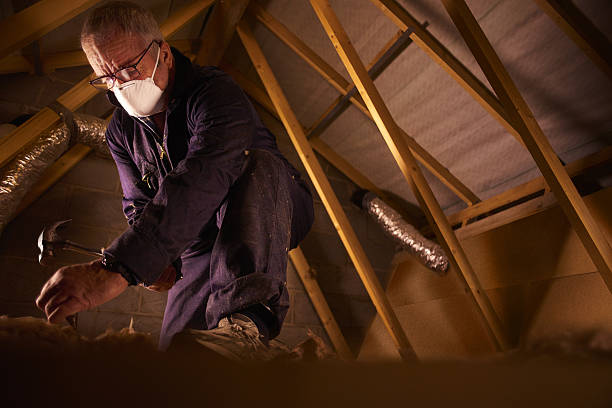 Best Eco-Friendly Insulation in Mantua, VA